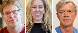 Experten: Covidtopparna spegelbilder av varandra