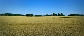 Åkermarken är en värdefull resurs att vara rädd om 