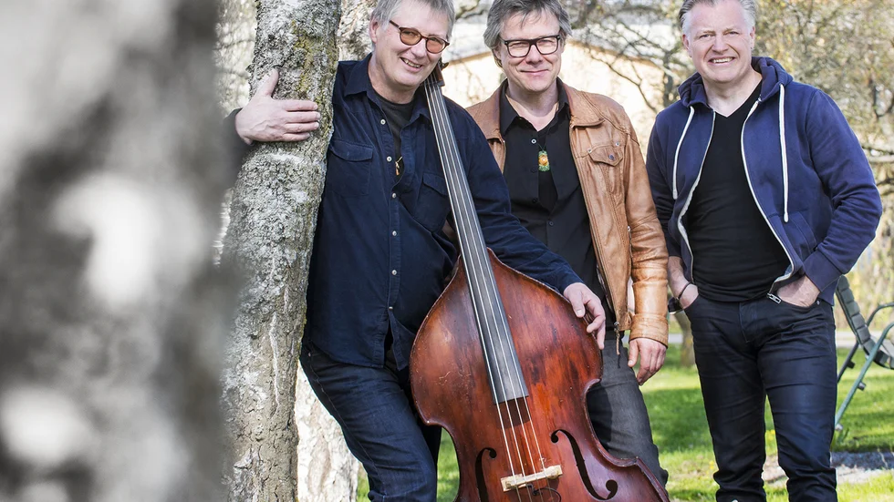 Trio X of Sweden kan sina saker och svänger loss ordentlig. De är en av flera band som släpper nytt. 