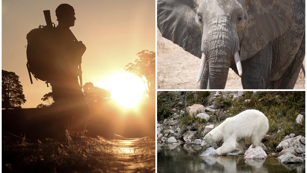 Katirneholmaren åkte till exotiska destinationer på påstådda studieresor. Resorna var egentligen för eget nöje, menar Skatteverket.