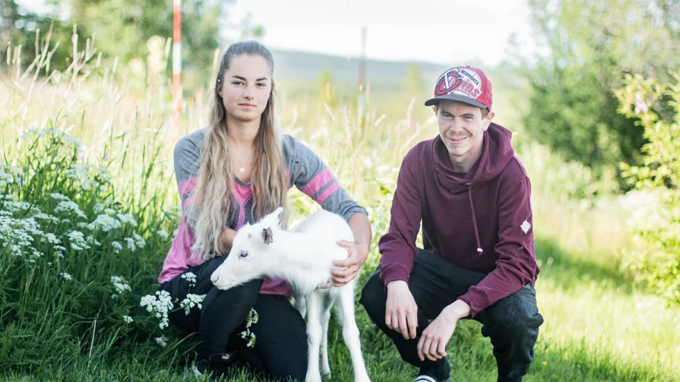 Jasmine Daurer och Rickard Larsson med renkalven Molly.