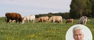 Valen i butiken tar oss närmare en hållbar framtid
