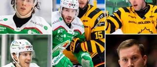 Inför semifinalen: Alla betyg på Rögle och Skellefteå AIK • ”Finns en stor skillnad”
