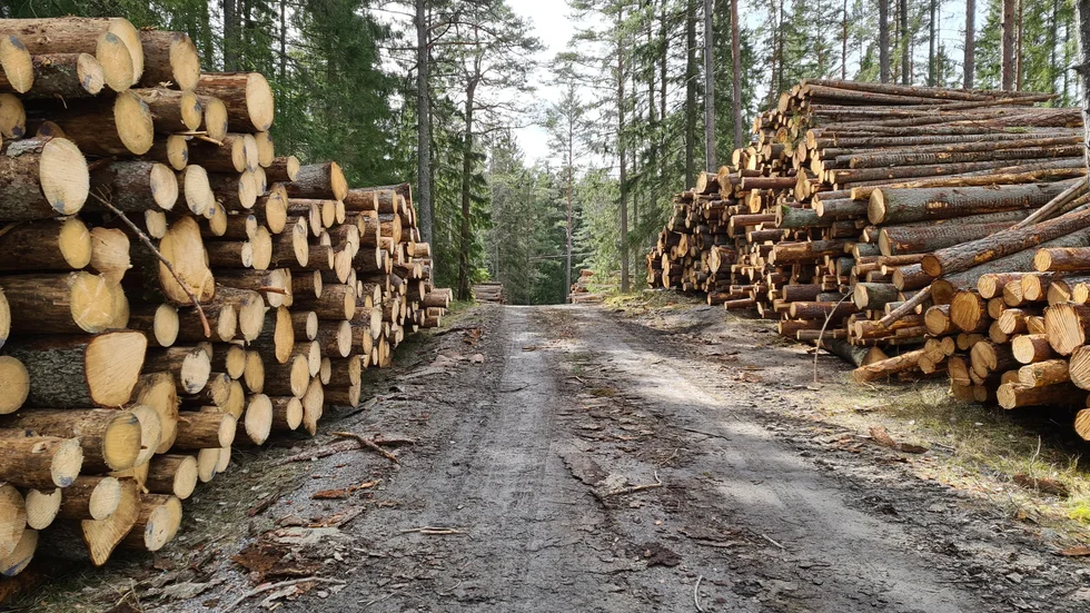 Enligt Skogsstyrelsen har de beviljat att avverka 4,7 hektar i Lötbodalskogen.