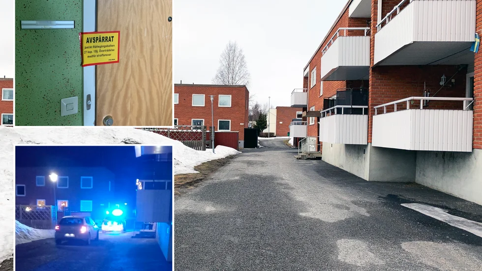 Det var på söndagskvällen den 28 mars som polis och ambulans kallades till ett bostadsområde i Ersmark. Den 19-åring som sitter häktad för dråp lider inte av en allvarlig psykisk störning, visar en läkarundersökning. 
