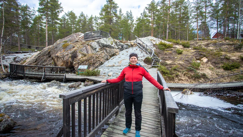 Klippan bakom Ingrid Hellberg syntes inte alls för 11 år sedan på grund av all mossa och stora tallar. Men med mycket svett och slit har en lite oas grävts fram för fjällväxter som trivs bland stenarna. 