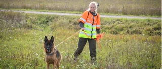 Fartdårar en ständig oro för eftersöksjägaren Sabina: "Ingen vill att man åker förbi deras kontor i 100 kilometer i timmen"