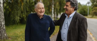Striden för björkarna i Gottsunda för grannarna Morteza och Erland samman: "Svårt övervåld på miljön"