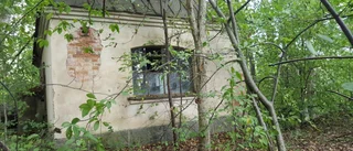 Hetast på Hemnet: Förfallet hus i skogen på 20 kvadrat • Topprenoverad villa i Stenhagen lockar också