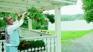 Rita Andersson har drivit Mårängens camping i tolv år. Den varma och långa sommaren har lockat många besökare till hennes camping.