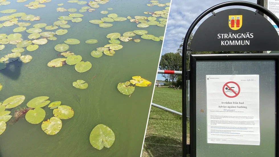 Vattnet vid Lötbadet, Lännabadet och Forsabadet har blivit kvitt algblomning.