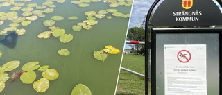 Uppmaningen: Bada inte vid Sjöborgsbadet