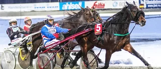 Norrbotten kan bli toppen på V75