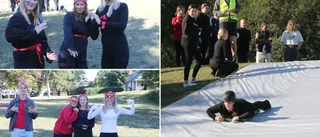 Lekfull kickoff för Wisbygymnasiets elever • Byggde jättelik åkattraktion i Tallunden • ”Skapar en bra gemenskap i klassen”