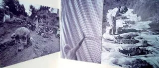 Srebrenicas offer hedras i utställning