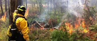 Kontrollerad skogsbrand i Fjällmossen