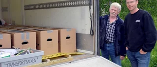 Fler fjällgäss sätts ut i fjällen