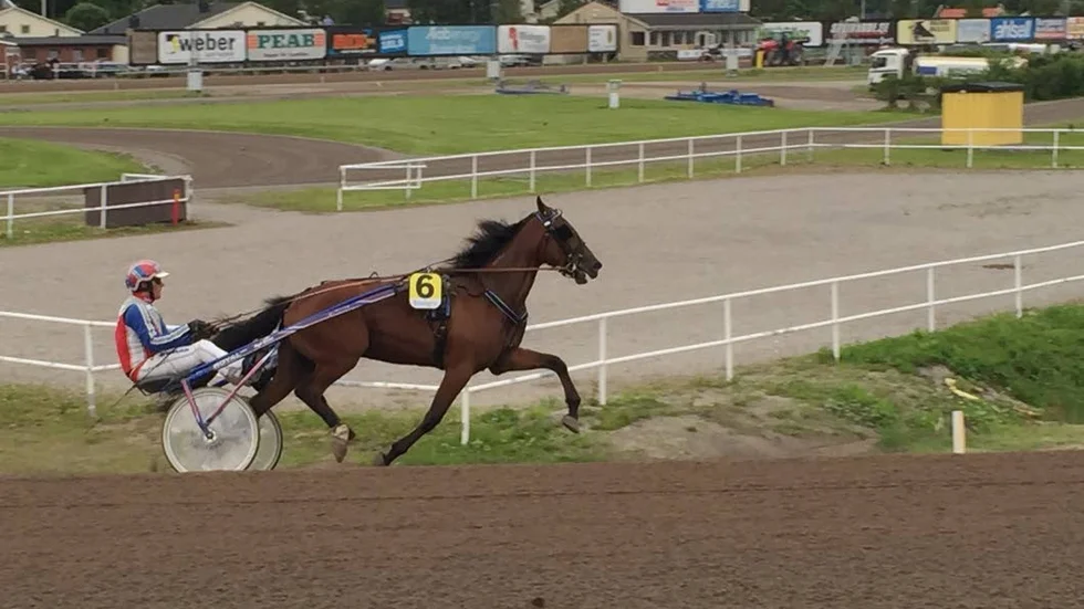 Med två segrar på fyra försök innanför västen ger sig 3-årige Piteåtravaren Mellby Delar i kast med kulltopparna i Kriteriekvalen på Solvalla, onsdag kväll. Roger Nilsson tränar och kör.