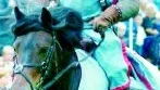 Nu har finspångsriddaren Lord Severin Unicorn (Benny Svensson) fått erbjudandet att bli dubbad till riddare i Johanniterorden. En orden med många, många år på nacken, grundad 1080!