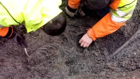 Arkeolog Mats Magnusson och osteolog Petter Nyberg frigör det kompletta skelettet vid fredagens undersökning. På bilden syns revbenen samt ett lårben tydligt. Foto: Titti Olovsson