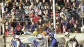 Det finns verkligen en stort intresse för speedway i Norrköping. I går skrevs ett nytt publikrekord på Kråkvilan.
FOTO: JANNE FORSBY
