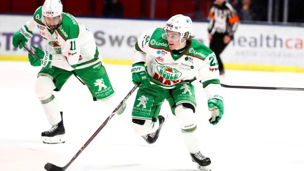 Förra säsongen var Nils Höglanders första i SHL. Han gjorde 14 poäng för Rögle. (Arkivbild).