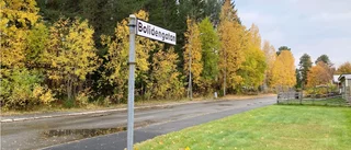 Tillfälliga bostäder i Skelleftehamn: ”Även på Bolidengatan finns det motstånd”
