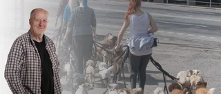 ”Alla dessa kvinnor med sina små hundar!”