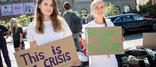 Hur når vi klimatmålen i Linköpings kommun?