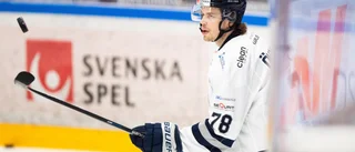 VIK värvar spetsspelare "Han kommer passa perfekt in i lagbygget"