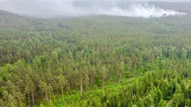 Från luften syntes den kraftiga röken från branden. 