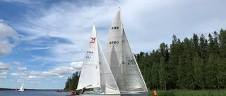 Dramatik i skärgården när Rumble On The Bay gjorde skäl för namnet: "De bröt mot regel 10"