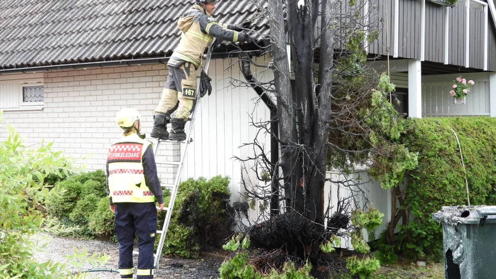 Ogräsbekämpning orsakade brand i tujahäck.