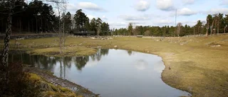 Domstol avgör hur djurparken ska få sitt vatten