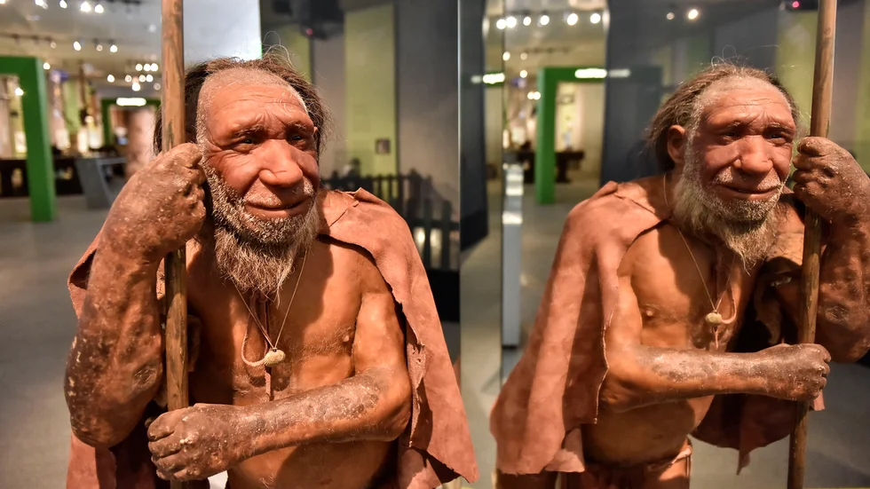 Har du en speciell genvariant från neandertalare kan din medicin behöva skräddarsys. Bild från en neandertalarutställning i Tyskland 2019. Arkivbild.