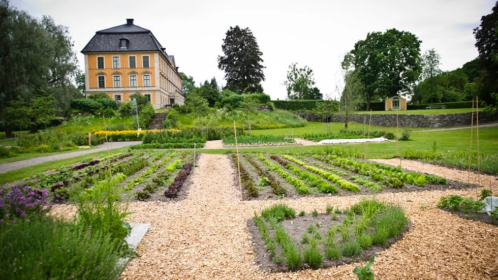 Nynäs slott.