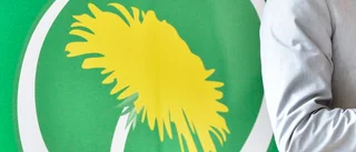 Eskilstunapolitiker med i MP:s nya partistyrelse