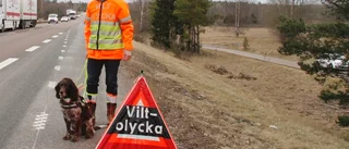 Bossen för eftersöksjägarna: "Önskar att de kunde tänka på djuren"