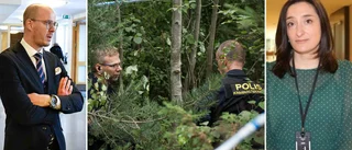 Viktiga beskedet om pojkens ålder: bedöms vara minst 15 år • Därför kan han åtalas för de grova brotten • Advokaten: ”Uppgav tidigt att han var 15 år”
