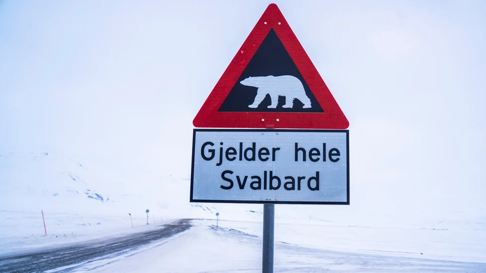 En varningsskylt på Svalbard. Arkivbild.