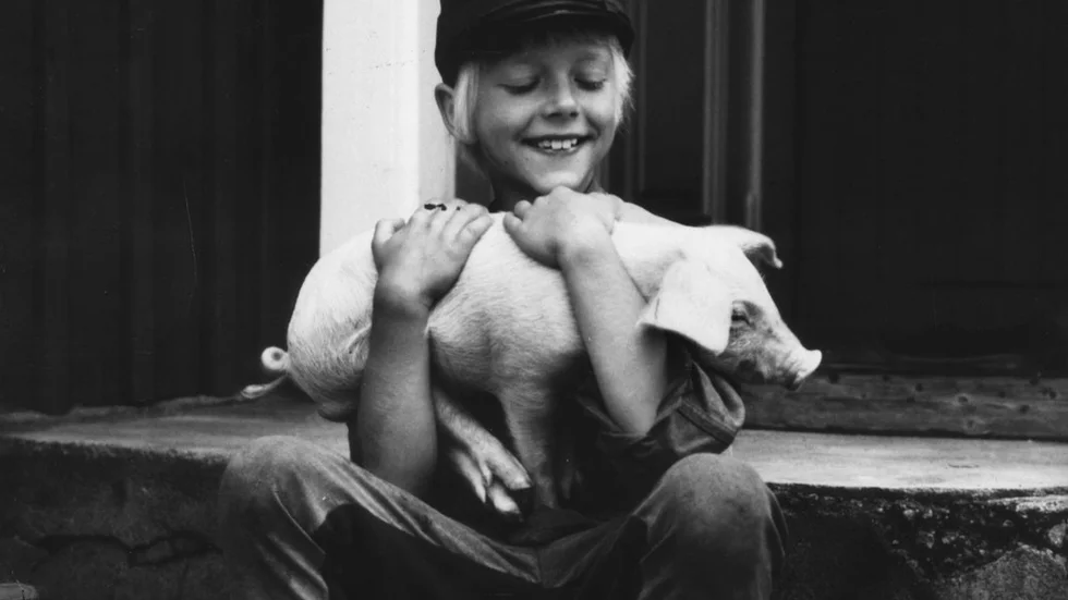Astrid Lindgrens älskade barnbokskaraktär Emil i Lönneberga, på film gestaltad av Jan Ohlsson, här med Griseknoen, hade det kanske inte alltid så lätt. Men Emils far var en sann vän av sparsam konsumtion, och sådana vänner behöver världen nu.