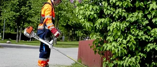Sommarens arbetsmarknad är glödhet
