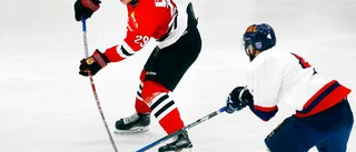 Linden avslutade med seger – nu väntar kvalserien