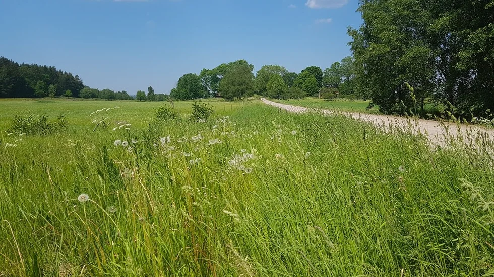 Naturskön miljö på vägen mellan Arnö och Örstig. FOTO: STEFAN KARLSSON