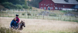 Ridlektioner och hästskötsel åter på Berga gård
