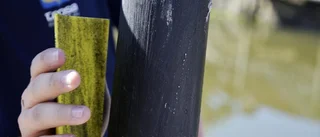 Dags att söka sommarjobb