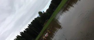 Rodde på åkern