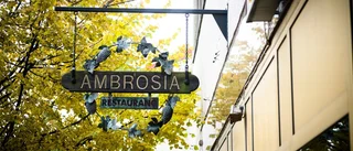 Ambrosia ute till försäljning