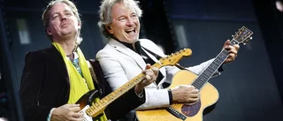 Ledin – i sommarens och kärlekens tjänst