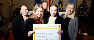 Ung Företagsamhet söker fler rådgivare